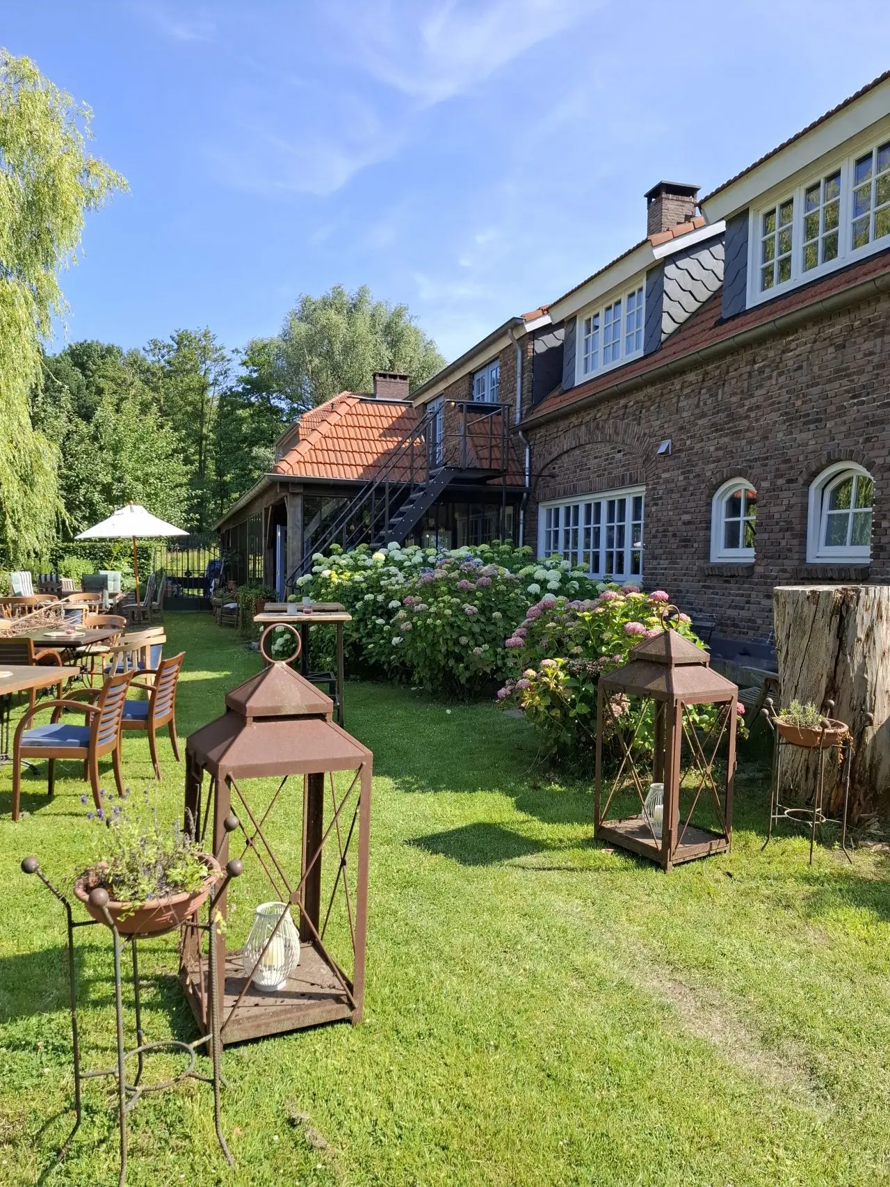 De achtertuin