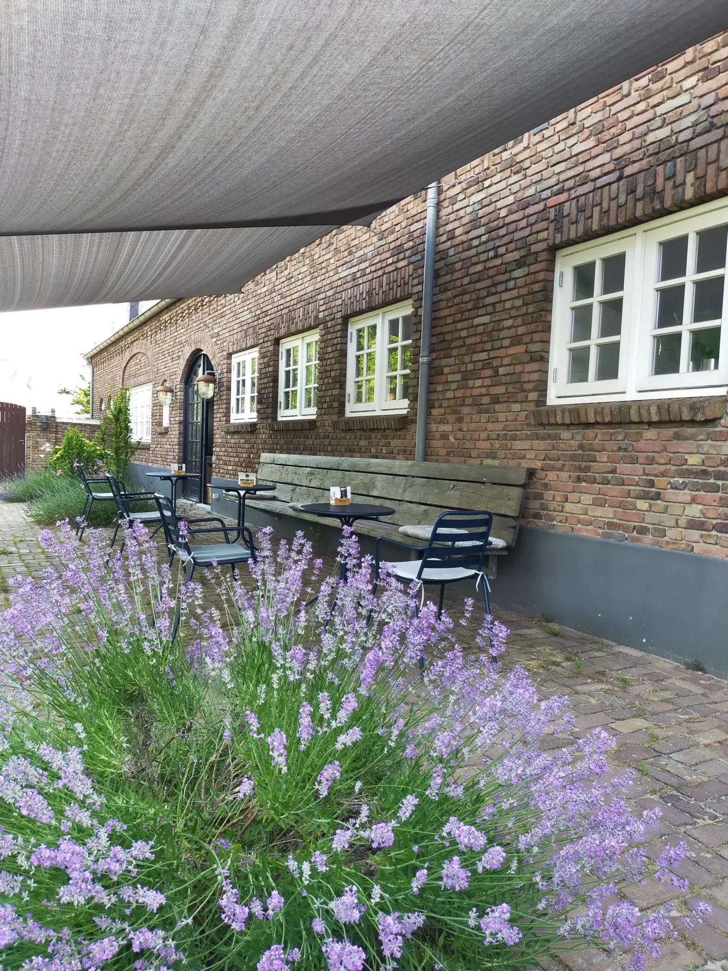 Na een wandeling in het Maaspark Noord-Limburg is het tijd voor een pauze op het terras bij Aan de Molenberg. Vergaderen en verblijven in Broekhuizen Limburg.